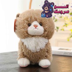 عروسک گربه سینه سفید