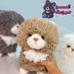 عروسک گربه سینه سفید