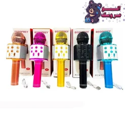 میکروفون شارژی 858