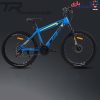 دوچرخه تی آر TR-transition سایز 26 کد 26115