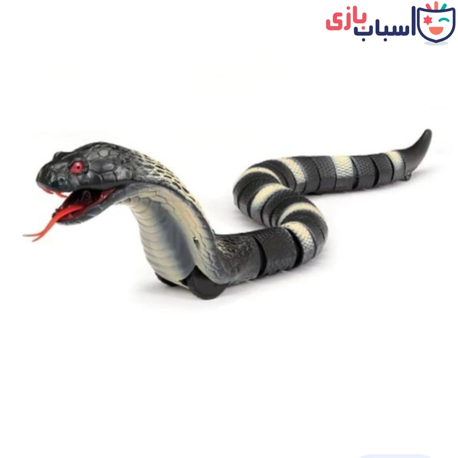 مار کنترلی شارژی 8808 - تصویر 3